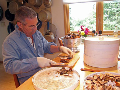 Slicing Boletes